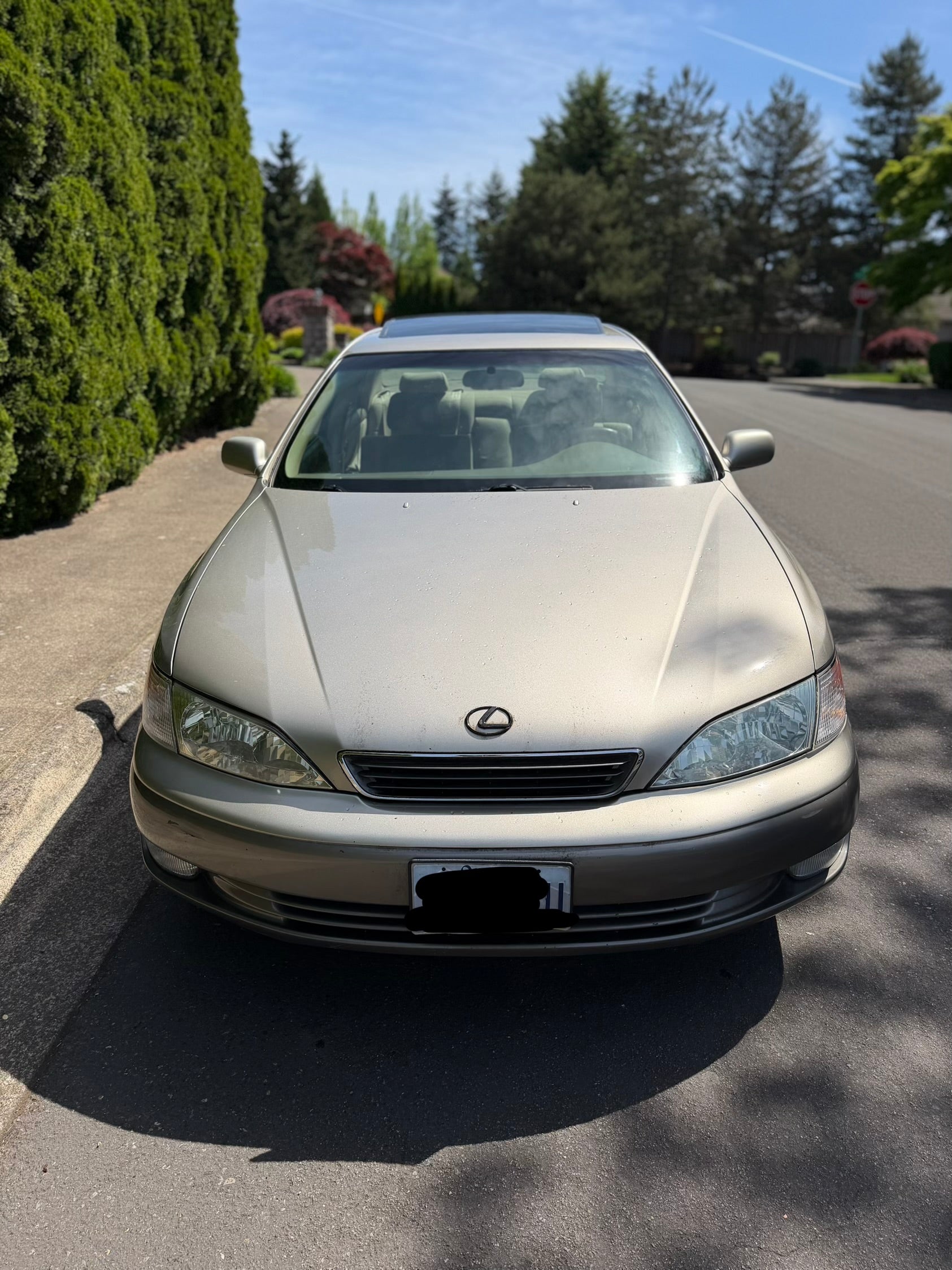 1999 Lexus Es300 Coach edition