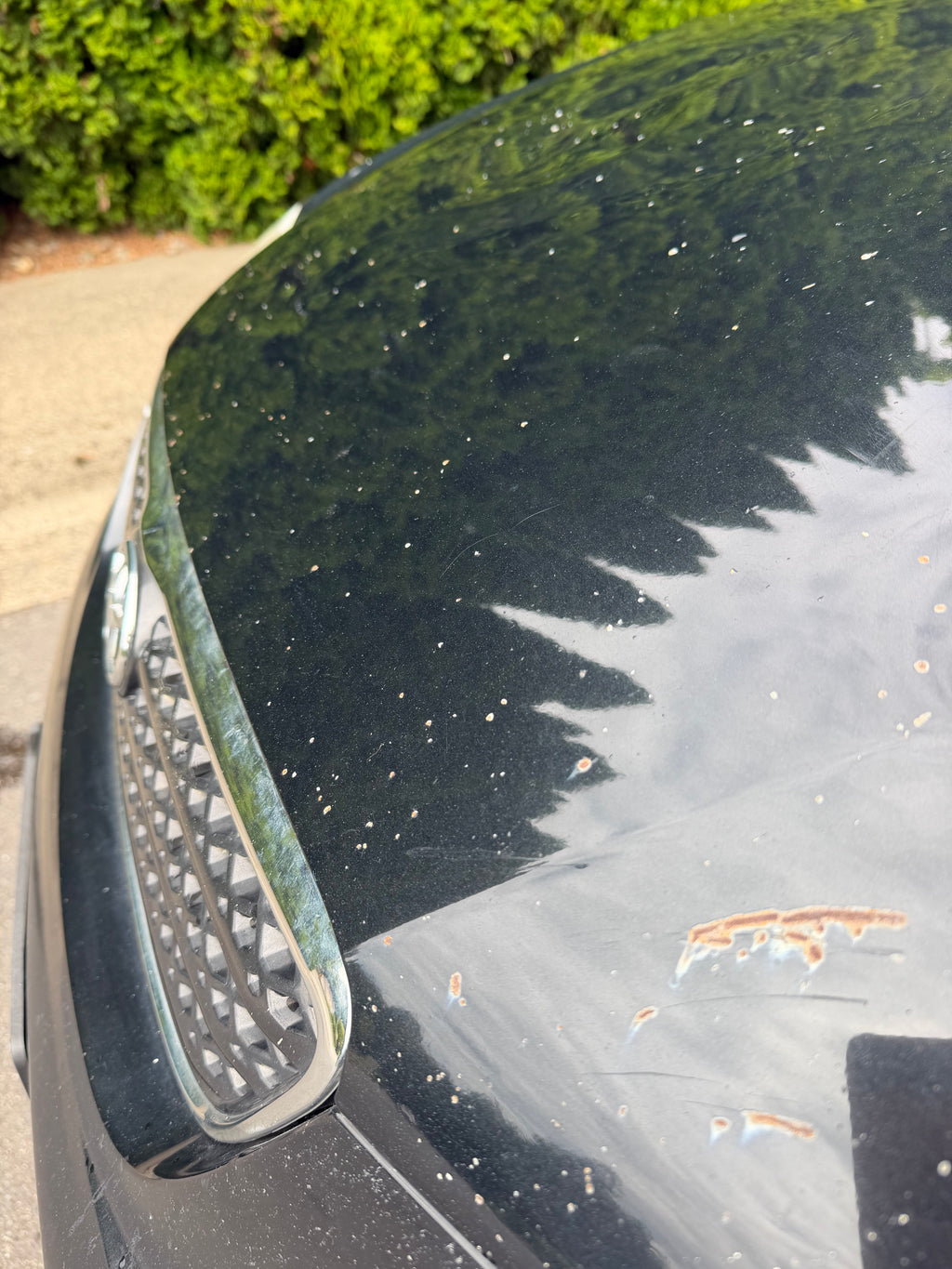 2008 Toyota Corolla