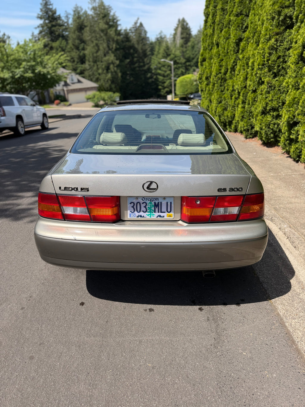 1999 Lexus Es300 Coach edition
